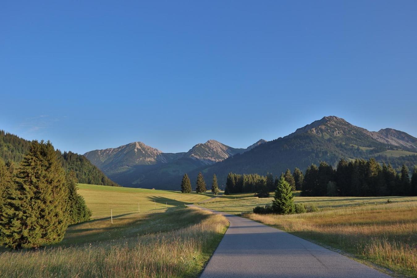 Ruhehotel & Naturresort Rehbach - Adults Only Schattwald Exterior photo